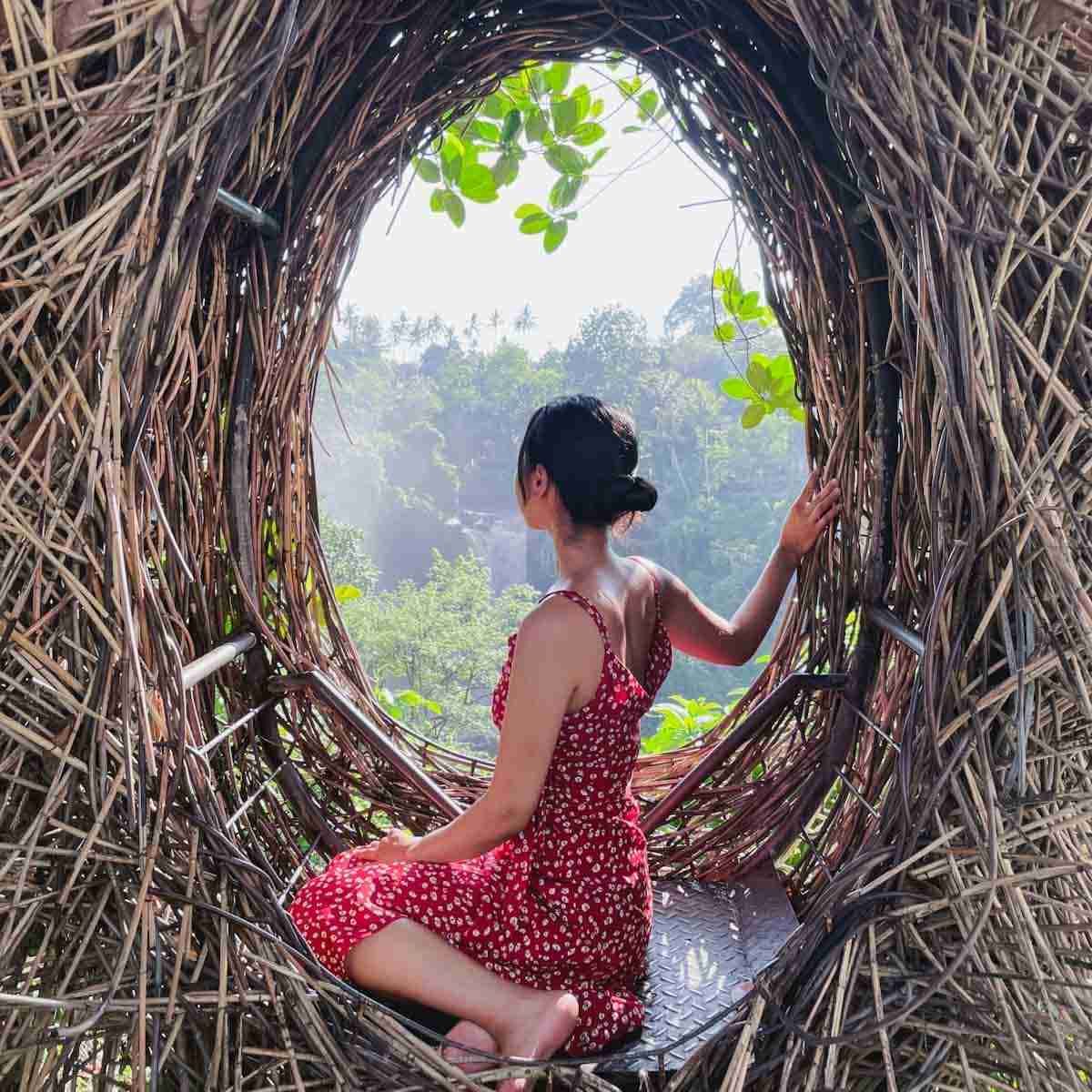 Egg nest at Tegenungan Waterfall