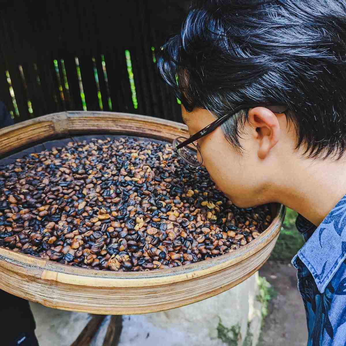 Freshly roasted luwak coffee beans up close