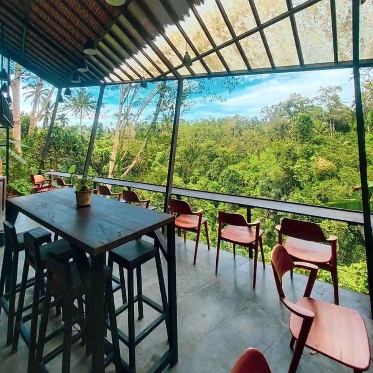 Keliki coffee cafe with a view of the Ubud forest