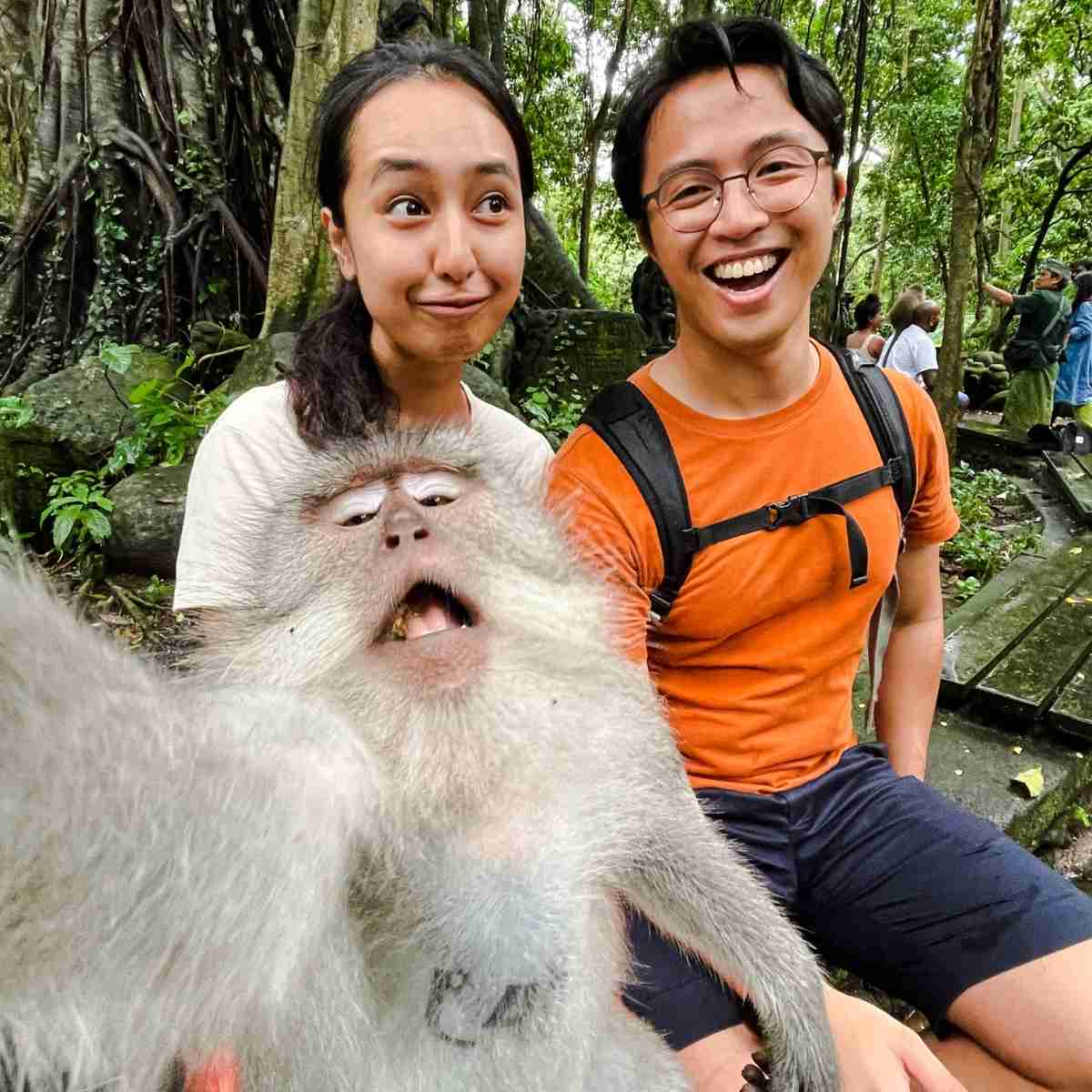 Monkey selfie at Monkey Forest Ubud Bali