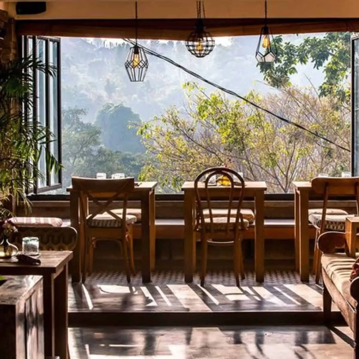 Zest Ubud Cafe scenic view with wooden chair and table plus trees outside