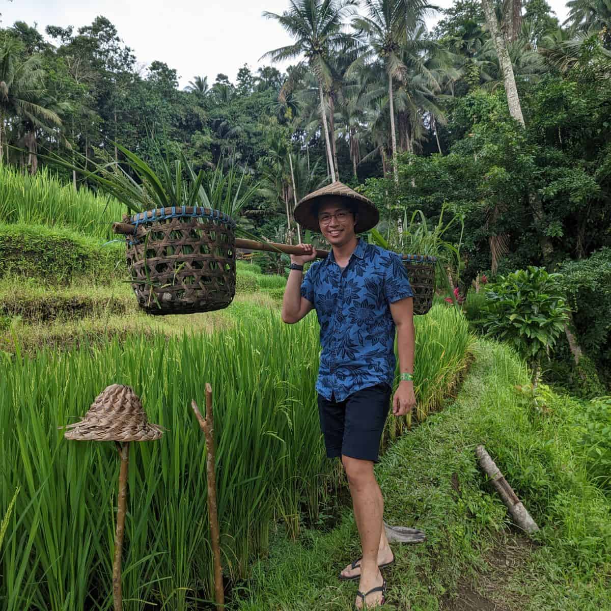 Bali Rice fields Tegallalang Rice Terraces