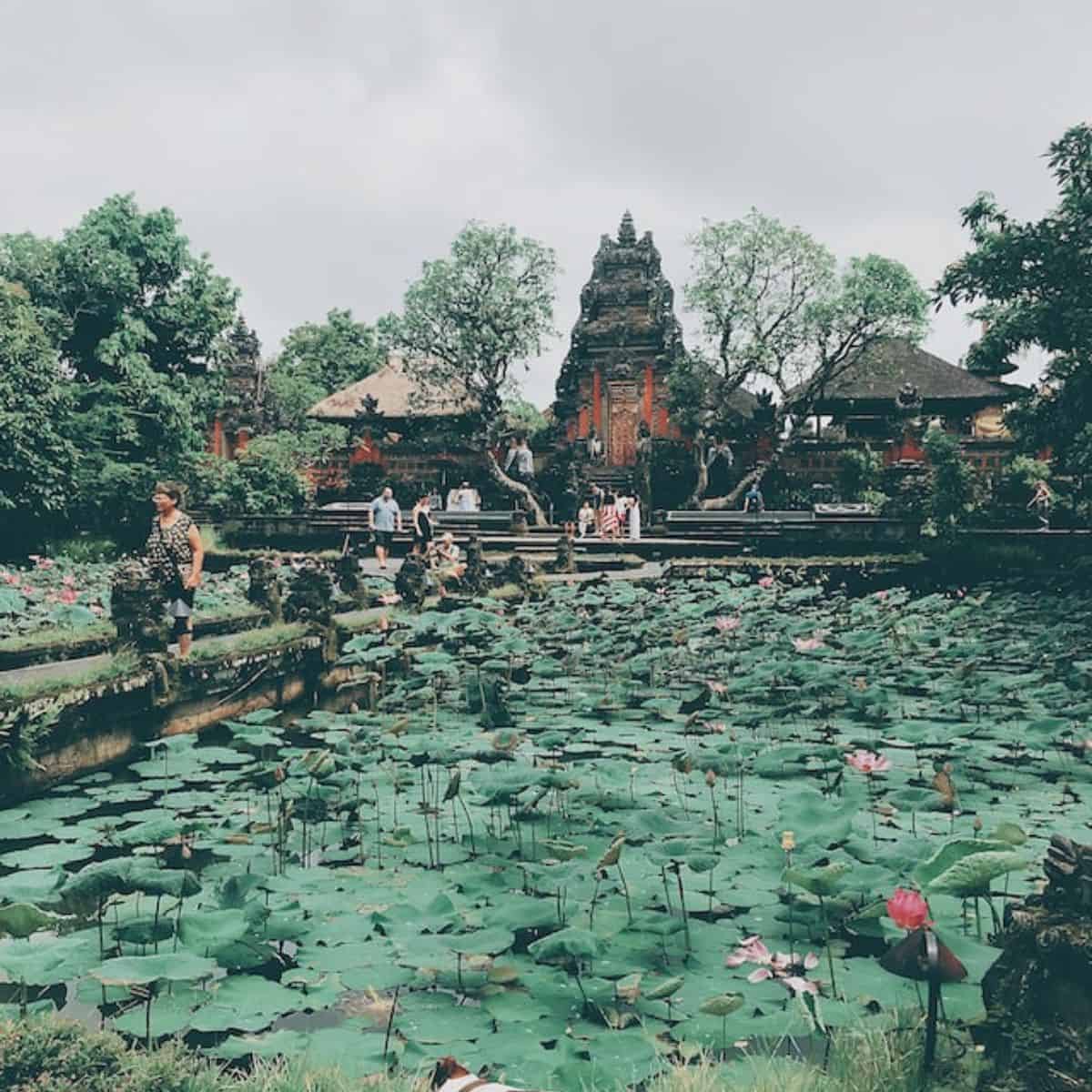 Saraswati temple ubud water palace plenty of water lily pads