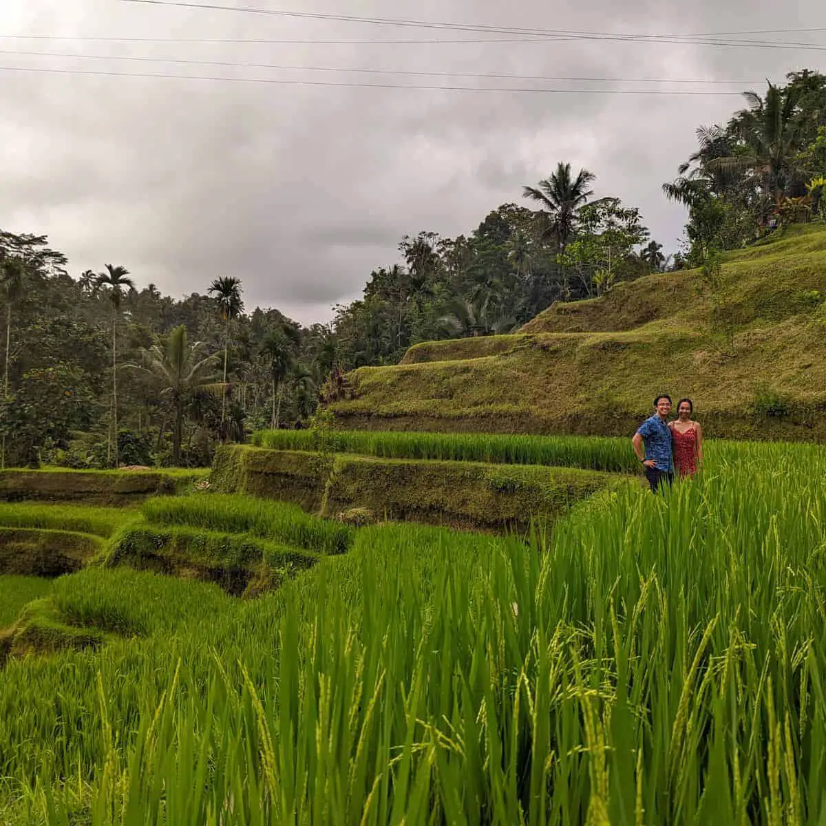 Tegallalang rice fields in Ubud Bali