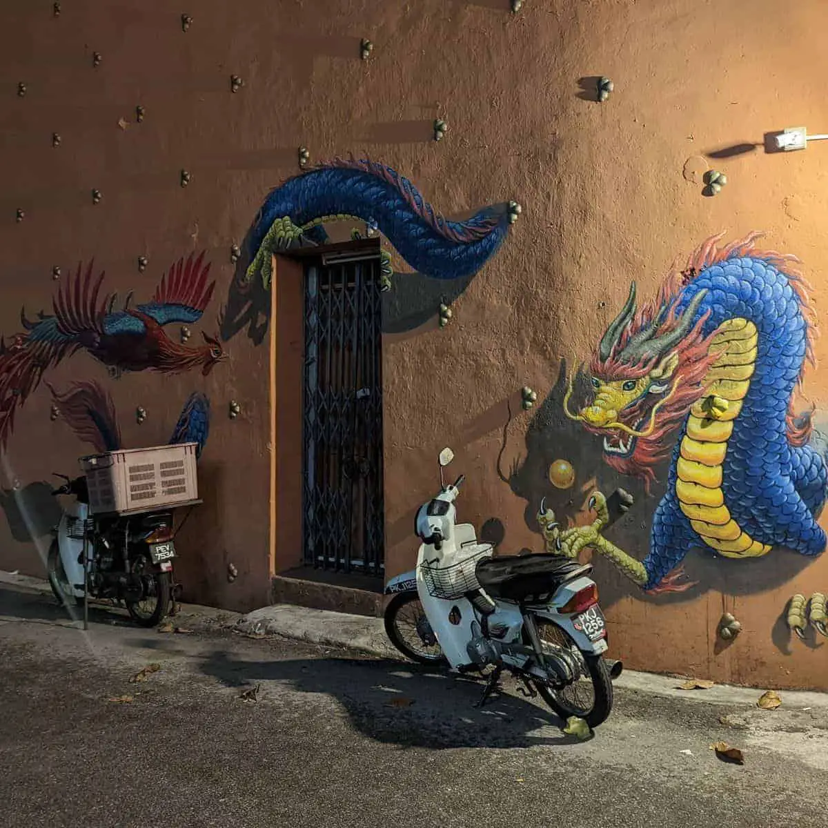 Carnarvon Street street art at night dragon and phoenix