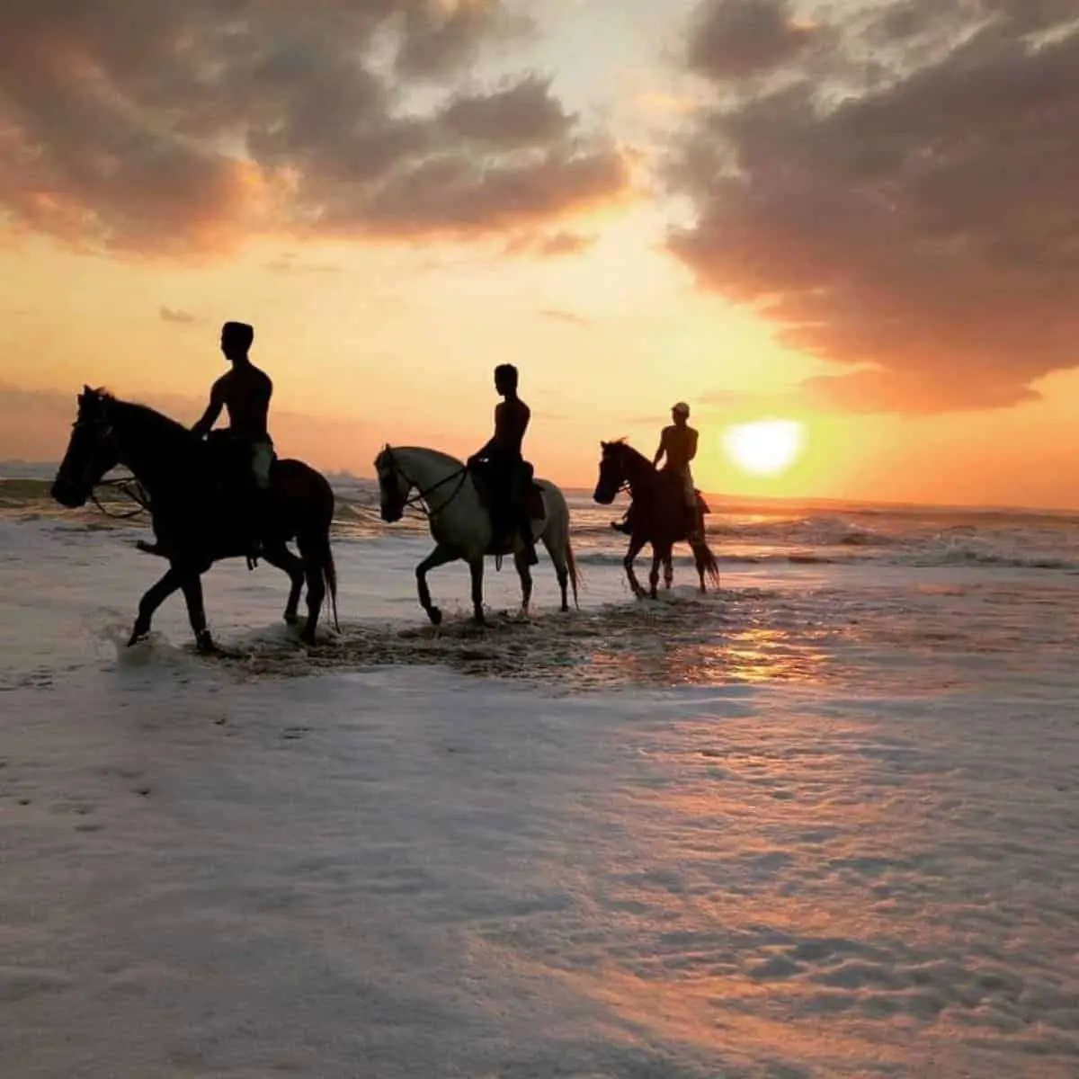 Horse riding in Bali as an activity