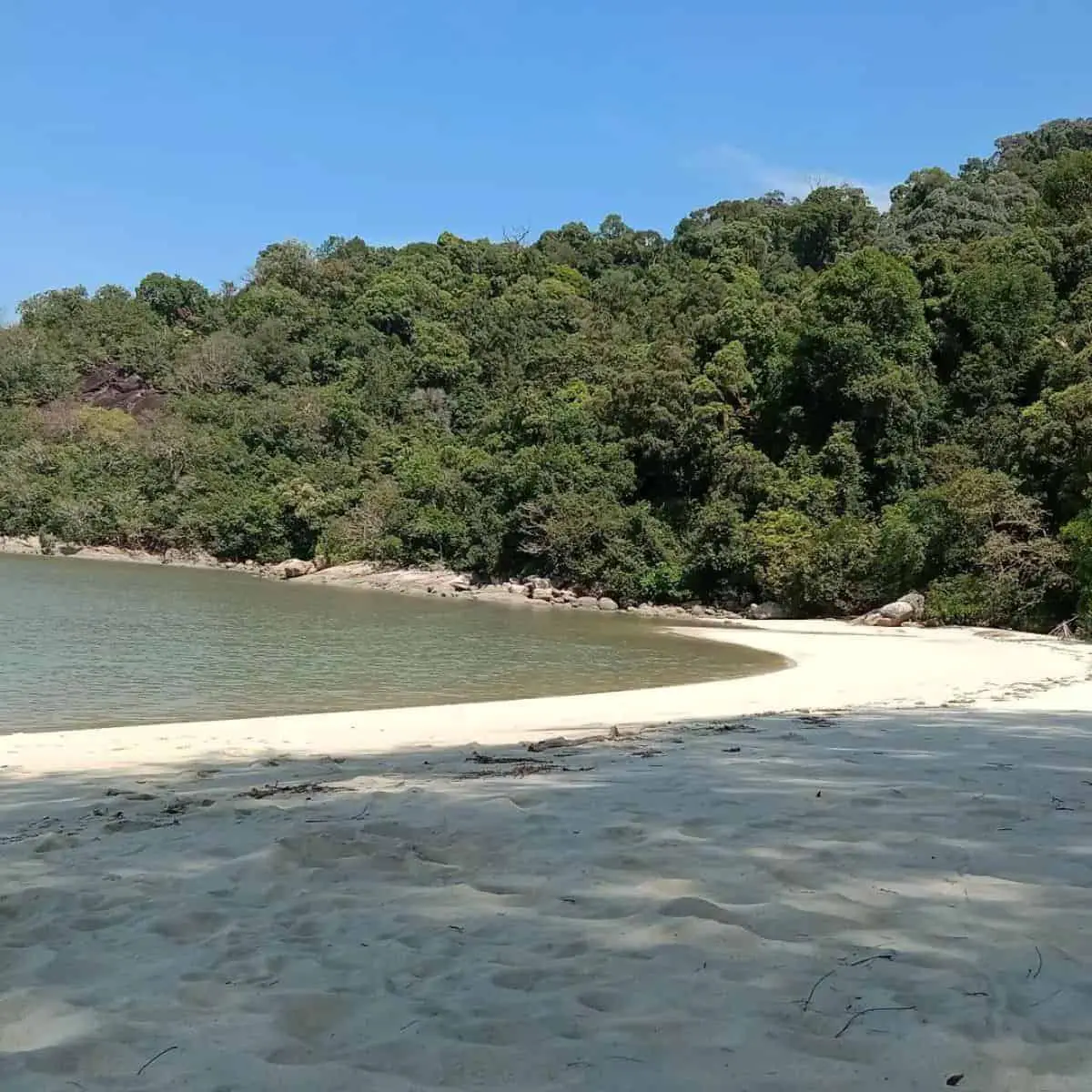 Teluk Kampi sands and forest inside National Park Penang