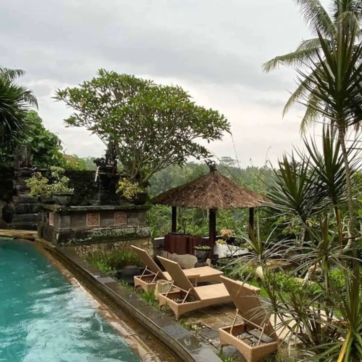 A beautiful view of nature from the pool with a hut and brownish tanning chairs of Bunga Permai Hotel