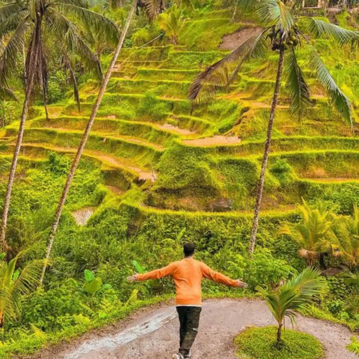 A man in orange jacket enjoying the view of Tegallalang Rice Fields
