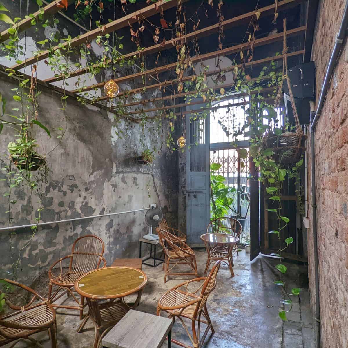 Bean sprout cafe interior hanging vine plants