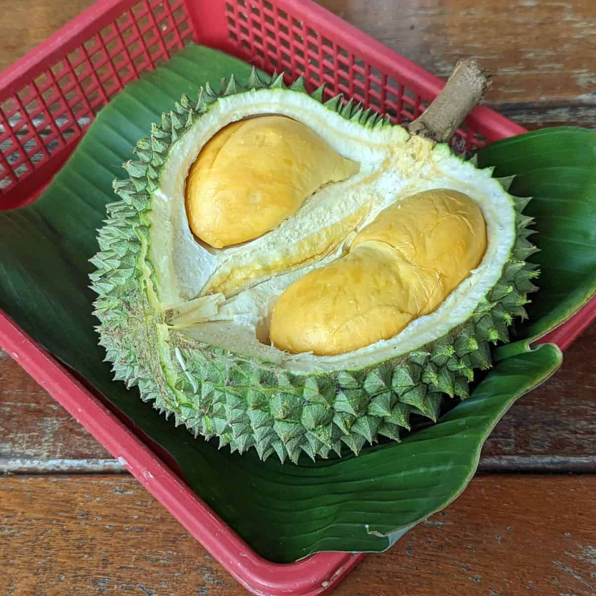 Black thorn durian at 2 acres cafe Balik Pulau