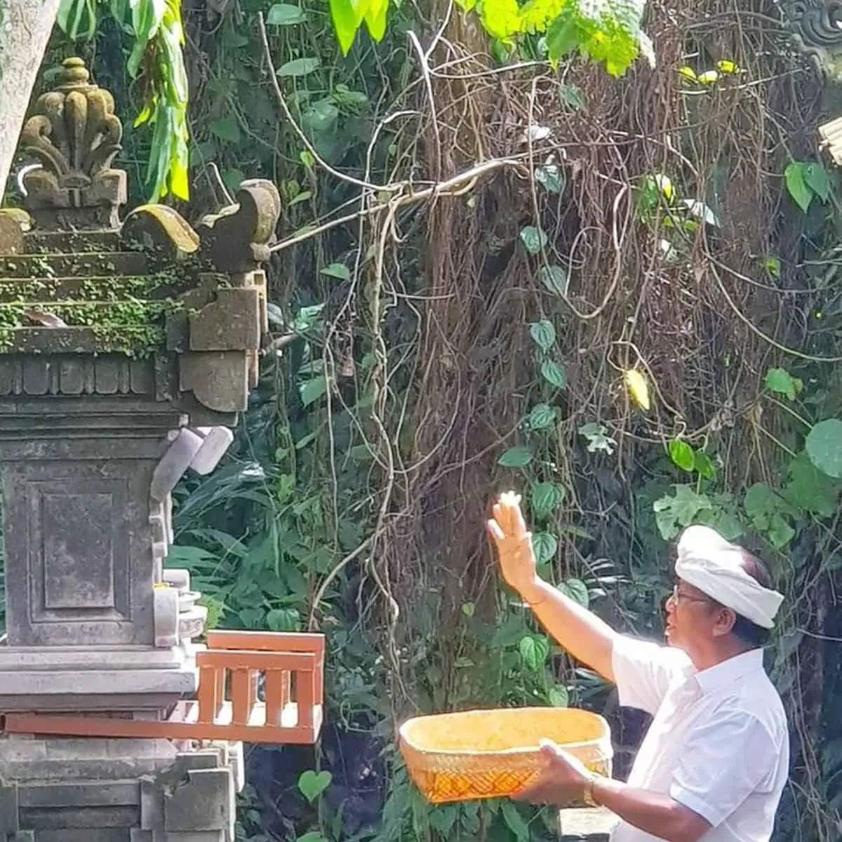 Ketut Liyer giving prayers to a carved pillar Ubud Pengosekan