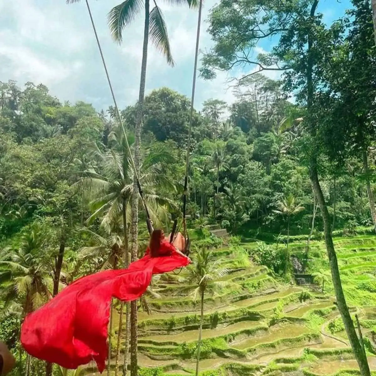 The beautiful view of Tegalalang Rice terraces with a swinging woman in a red long trail dress
