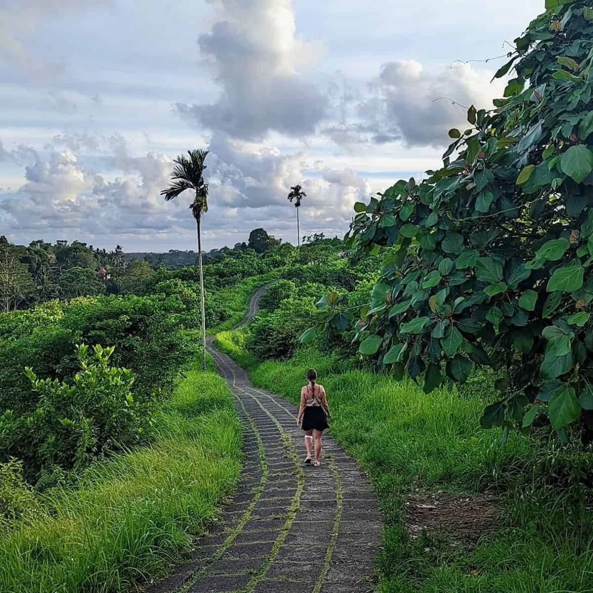 The long trail of Campuhan Ridge Walk with a greenery view