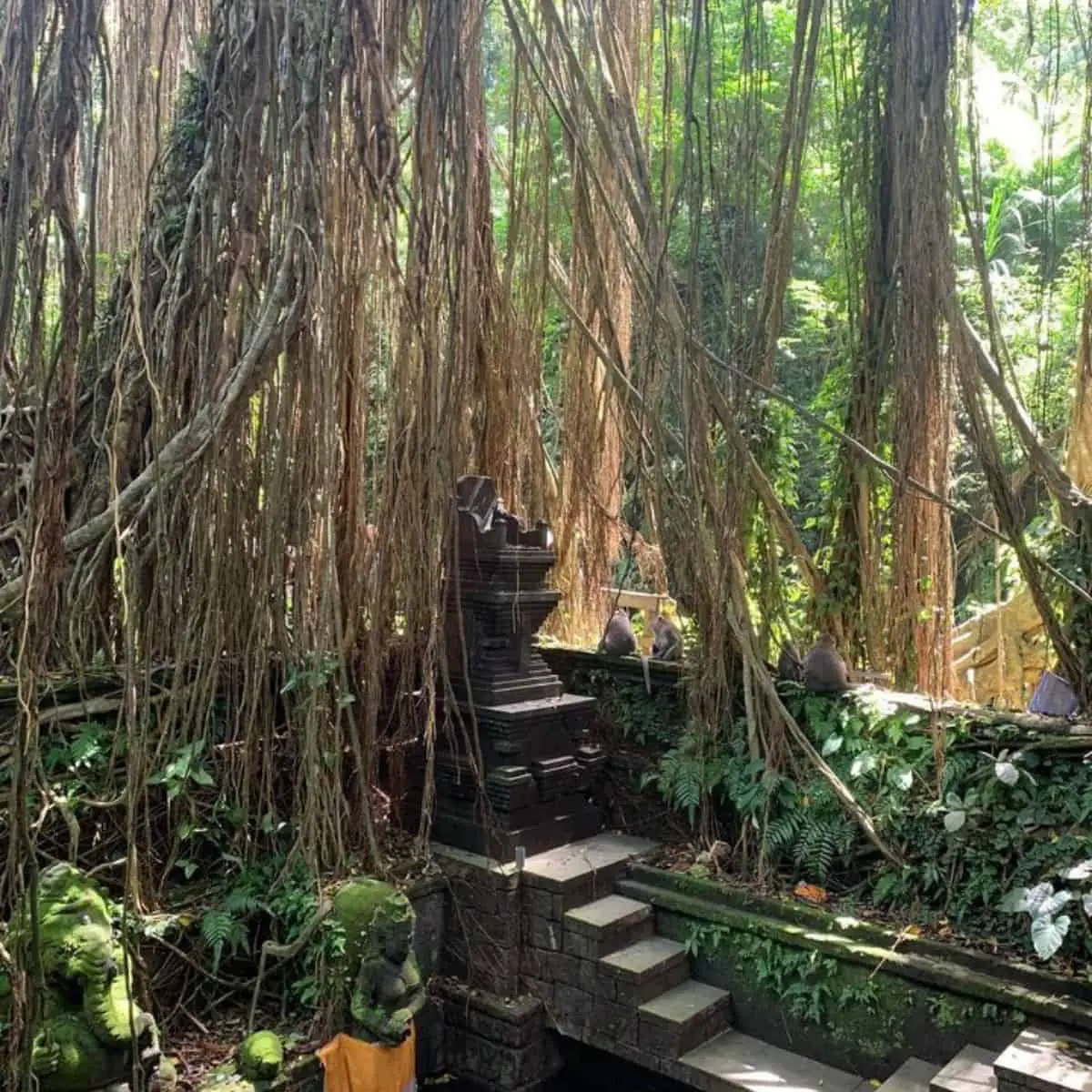 Vines in the middle of a forest and a carved imagery in Ubud Monkey Forest