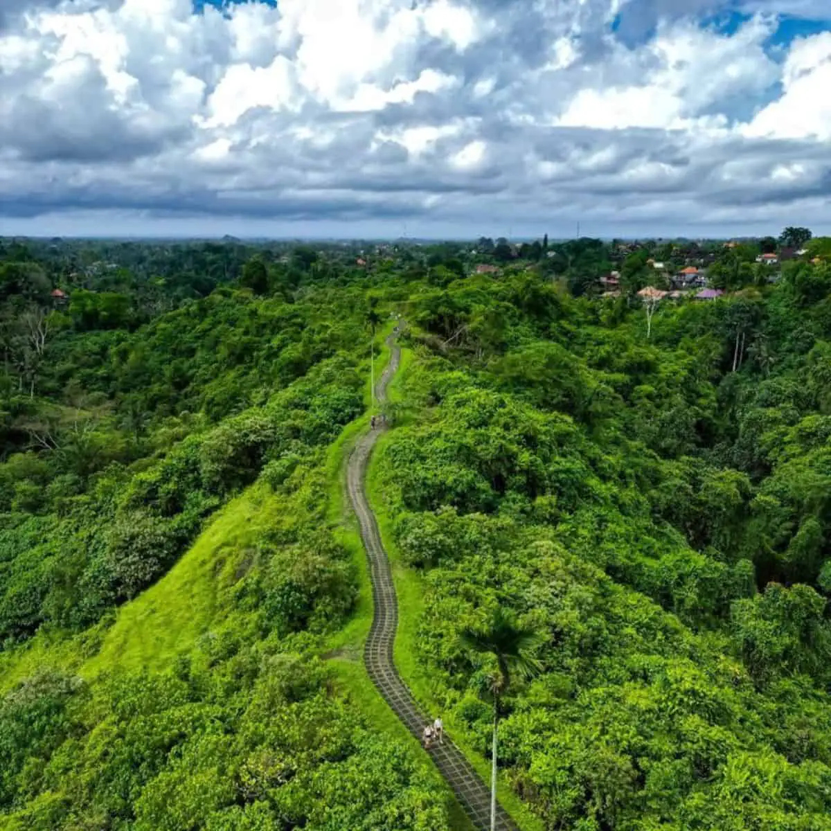 Aerial view of Campuhan Ridge Walk trail in a green mountainous area