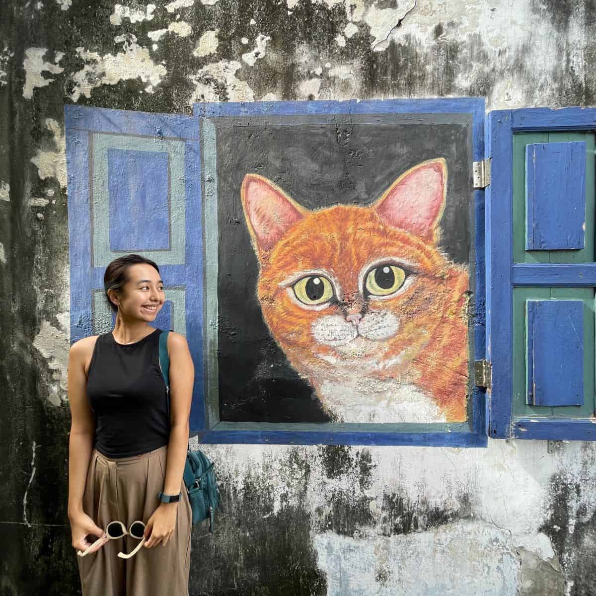 Cat in blue window street art Georgetown Penang Victoria