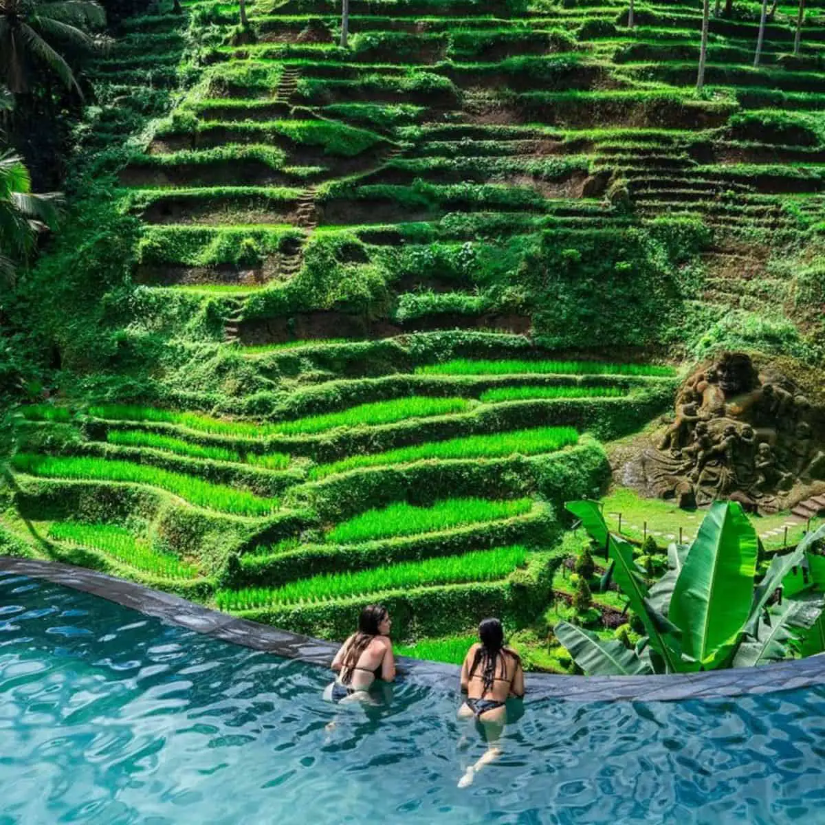 Two ladies in swimwear dipping in Cretya’s pool with rice terraces view in front