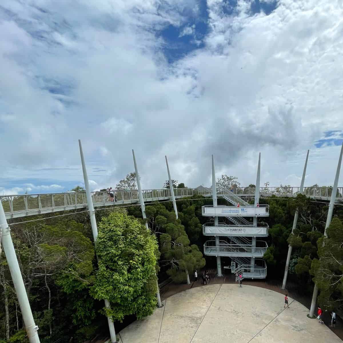 Curtis Crest treetop walk at the Habitat Penang Hill