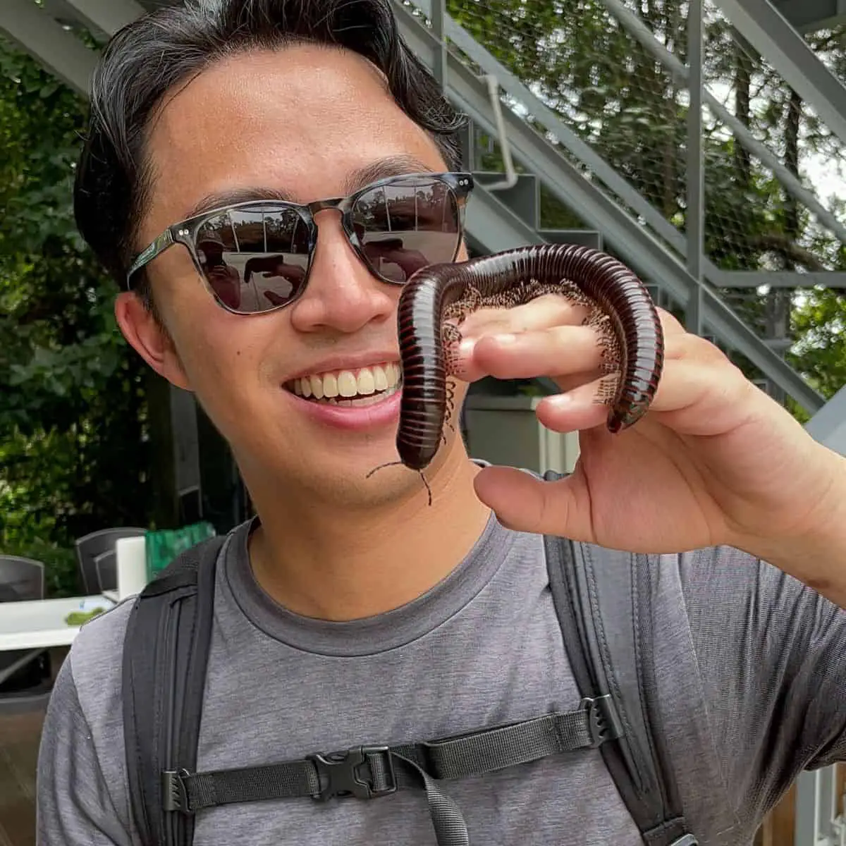 Giant millipede on Ruizs hand at The Habitat in Penang Hill