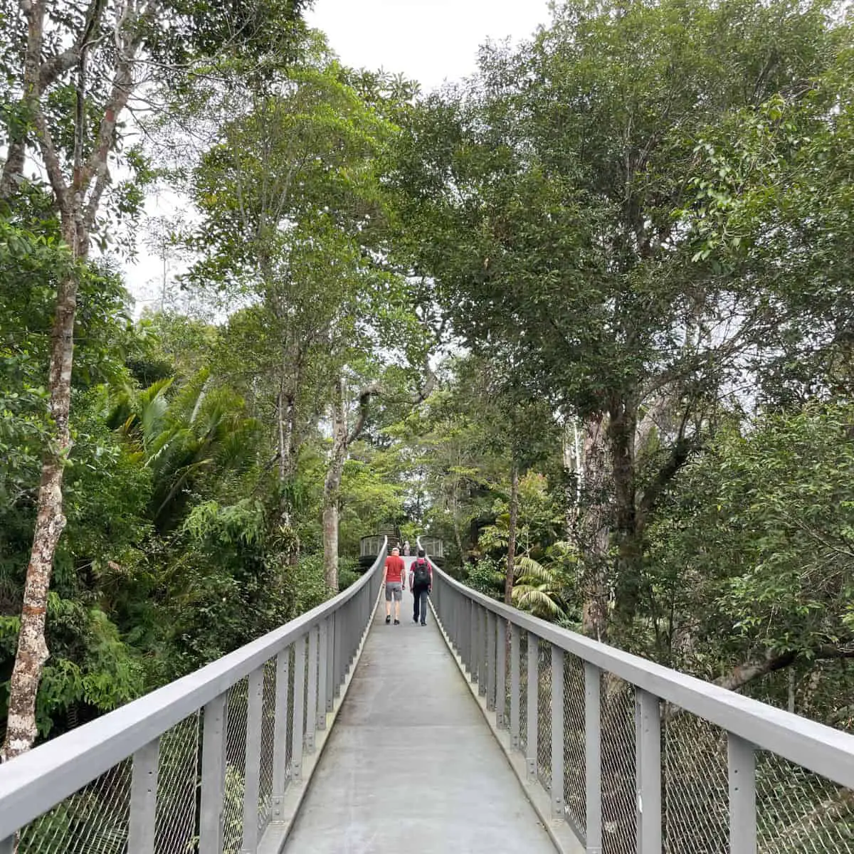 The Habitat the Langur Canopy walk walk Itinerary 3 days Penang