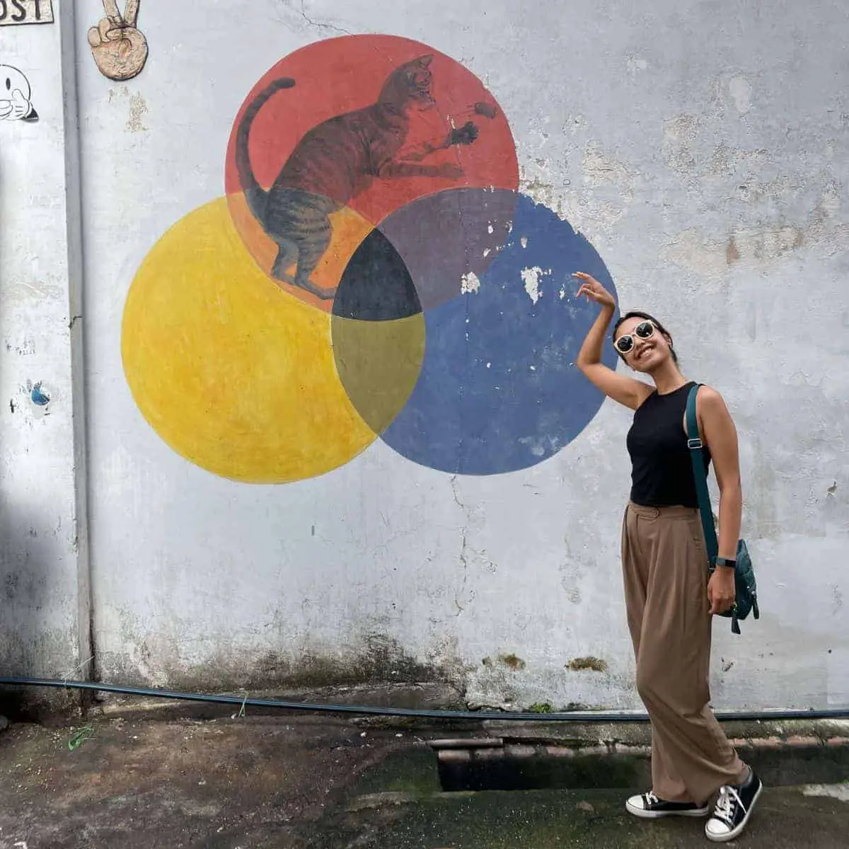 Tricolour cat street art Georgetown Penang with Victoria