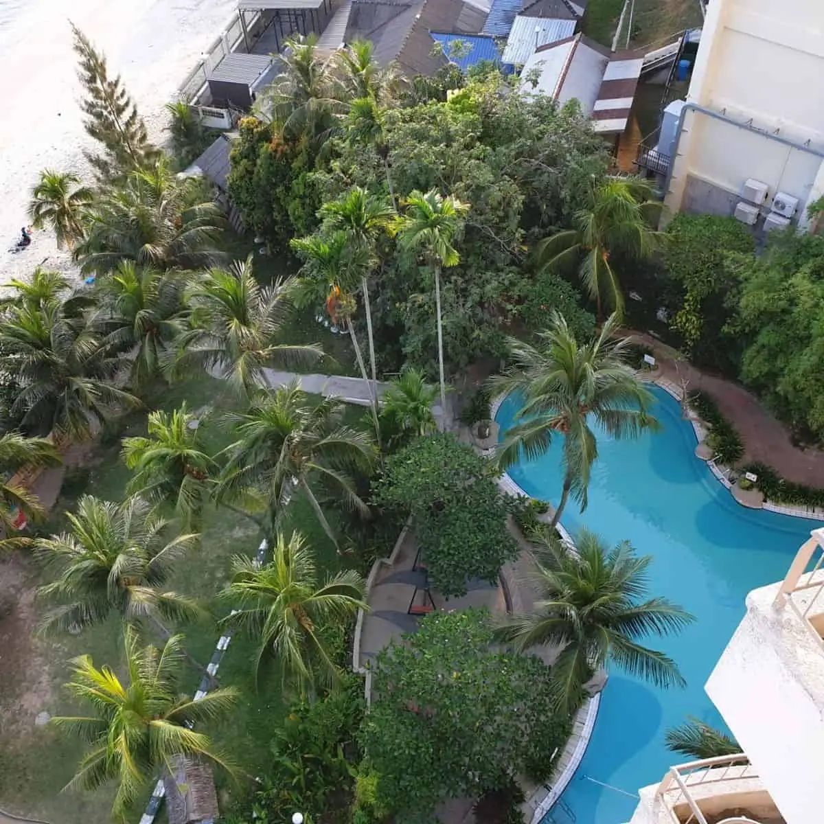 Topview of Rainbow Paradise swimming pool and coconut trees