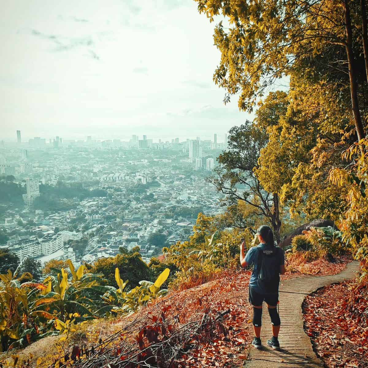 Hiking trail with trees and wildlife