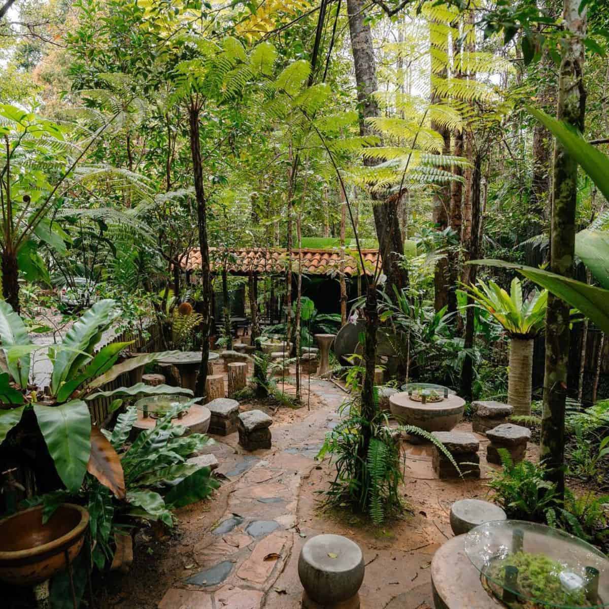 Kopi Hutan with dining seats surrounded by nature