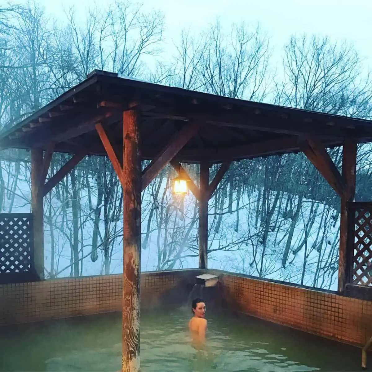 Hot spring in the middle of a Niseko forest