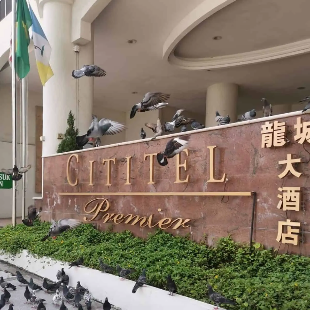 A modern and aesthetic look of Cititel entrance