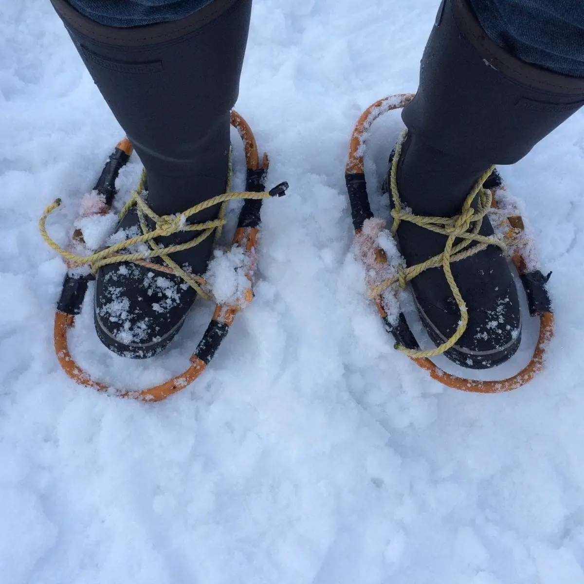 Snowshoeing winter hiking